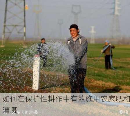 如何在保护性耕作中有效施用农家肥和灌溉