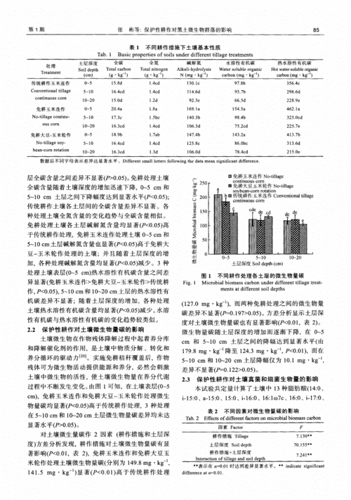 保护性耕作对作物产量的影响