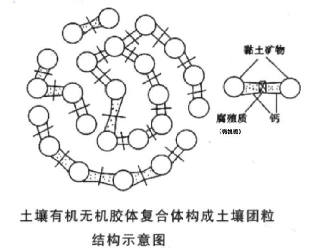 什么是土壤的团粒结构