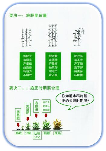 如何科学施肥促进农作物生长