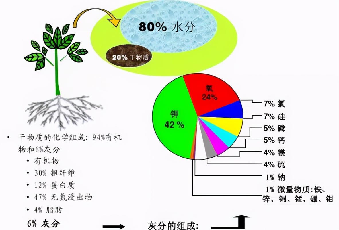 农作物生长的影响因素有哪些