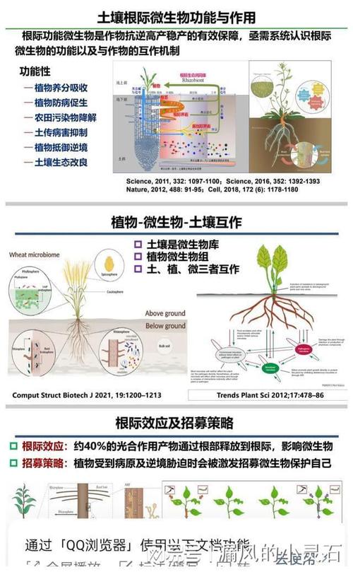 保护性耕作如何提高农作物的产量和质量